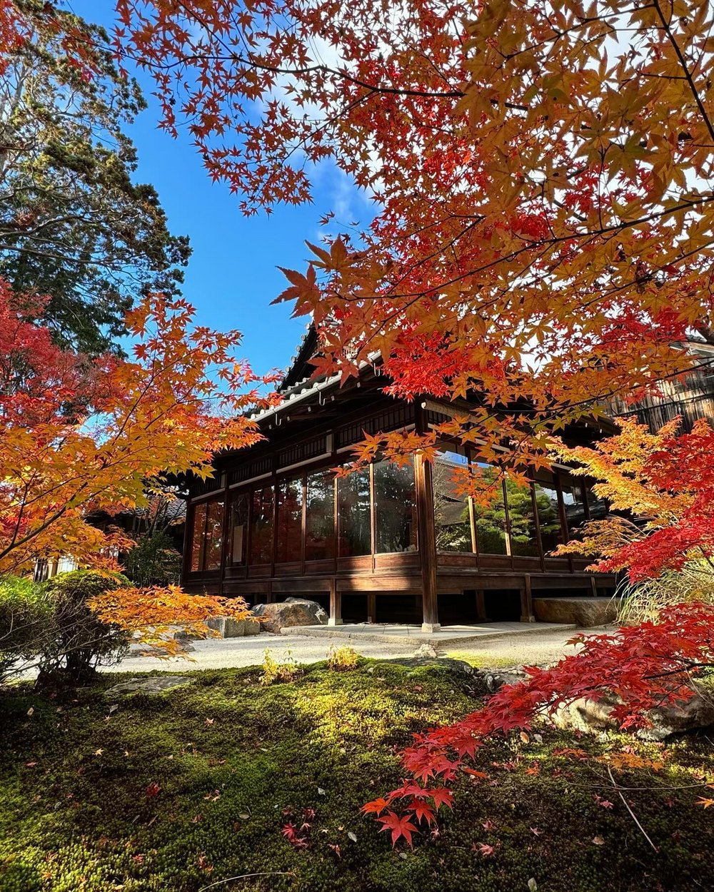 京都红叶庭院